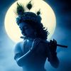 kiranshrestha47