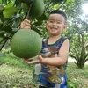 tham20082017