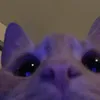 hikushaaa