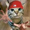 hearts4deftones
