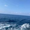 deniz222456