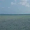 pidamonhegaba