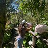 dani_lezama.11