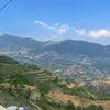 lamsungltl