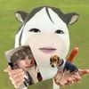 dollyshushu