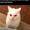 caditosuwu_