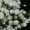 diep_anh0211