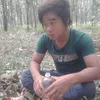 tocdai92