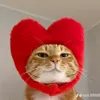 ontopgb