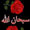 user4824225423723
