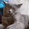 grey0928nanoyo
