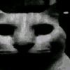 fordzi