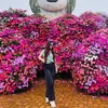 ms.tet_242