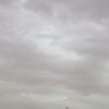 abdulellah_22
