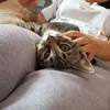 clautama