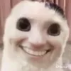 merik_ch7