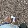 custardgirlie123