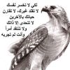 mansooralrashdi111