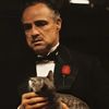 swag_corleone