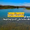 user499585625