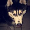 _eskrimvanilaaa