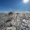 snowplowr54