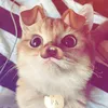 mvd_yopte