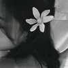_cizn2