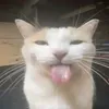tsebaz__