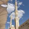 norah_m5