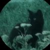 tabby.johnston2