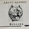 kruptkennelbullies