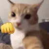 yxrtzz