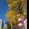 hanquocdoithuongkr