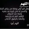 user87660486
