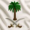 alli.alharthi