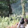 miftakhuljannah9_