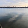 rotterdami