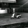 falen_hallatu
