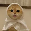 iam_beboo