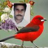 abdulkarimkhan166
