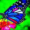 mitchellart5977
