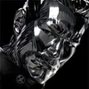 the_sholva