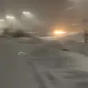 miralir_