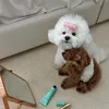 idomie__