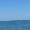 solemare.8