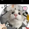 tieu.bao_0