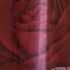 yarzar84at