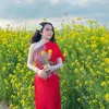 hamy68_