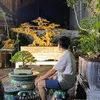 mrhoang1987hp